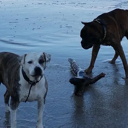 Schwalbennest شقة يوكيريتز