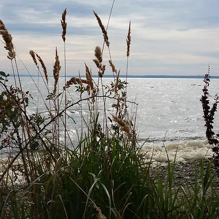 Schwalbennest شقة